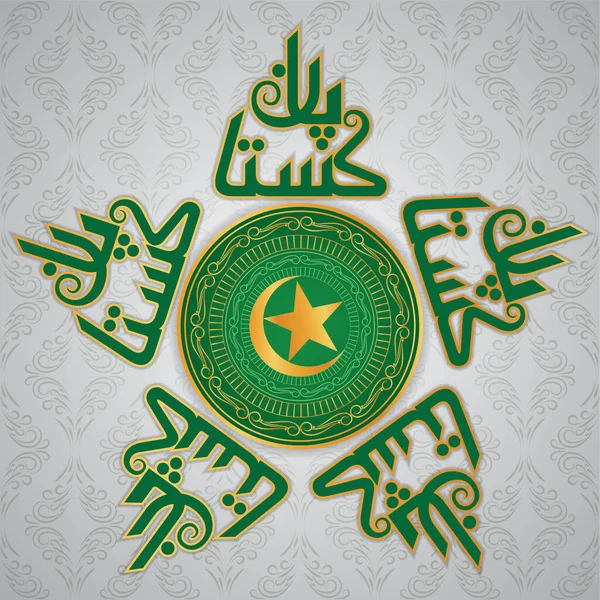 Vacker Pakistan Symbol Använd Den Medalj Eller Sköld Pakistan Dag — Stock vektor
