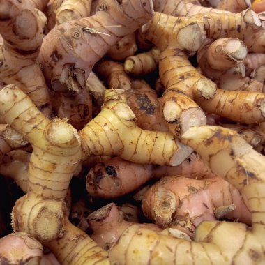 Pazar Resmi Fotoğrafında Bir Galangal demeti