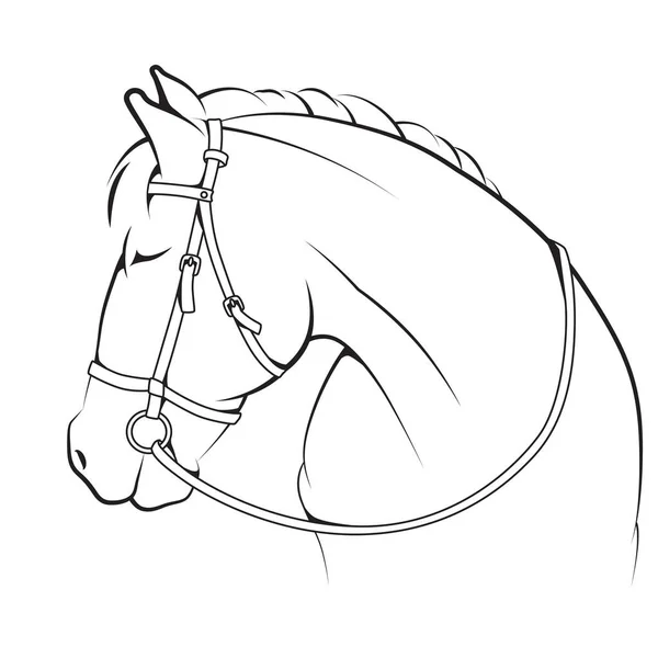 Realistic Horse Profile Head Neck Clipart Vector Illustration — 图库矢量图片