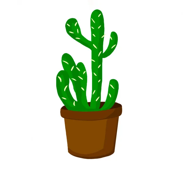 Set di cactus, cactus decorativi in vaso divertente set di cactus set cartone animato icona cactus con fiore — Foto Stock
