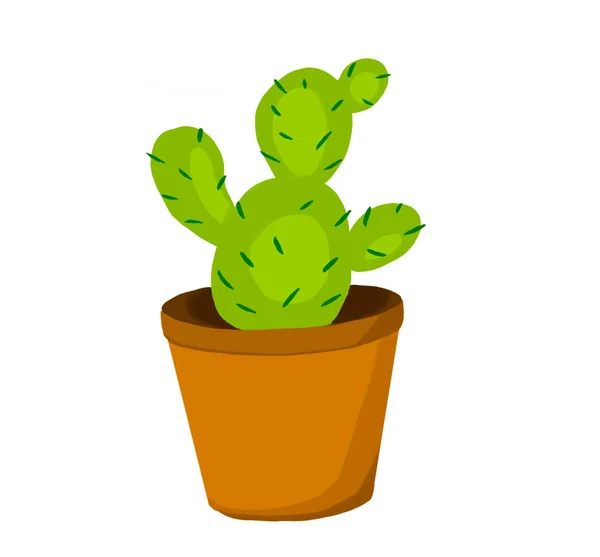 Set of cacti, decorative cacti in pots enjoyable cactus set cartoon set icon cactus with flower — Stock Photo, Image