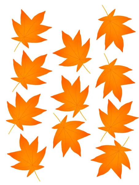 Hola otoño, hojas de otoño planas, hojas de color aisladas conjunto de elementos de otoño vacaciones de otoño hojas amarillas — Foto de Stock