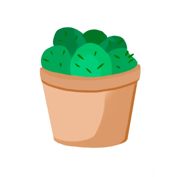 Set med kaktusar, dekorativa kaktusar i krukor njutbar kaktus set tecknad ikon set kaktus med blomma — Stockfoto