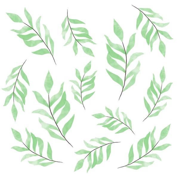 Aquarel Groene Bladeren Voor Decoratie Ansichtkaarten Soortgelijke Patronen Planten Natuur — Stockfoto