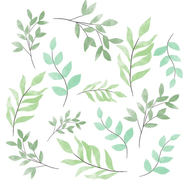 En uppsättning akvarell blomma illustrationer är en samling av gröna blad eukalyptus akvarell blad. Mall för gratulationskort — Stockfoto