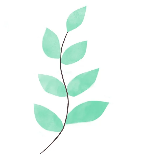 Набір акварельних квіткових ілюстрацій являє собою колекцію зеленого листя Евкаліптового акварельного листя. Шаблон листівки — стокове фото