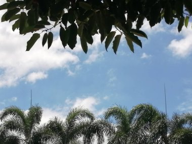 Parkın güzel manzarası