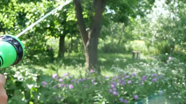 Kertészek Kezében Egy Locsolóval Ellátott Tömlő Öntözte Növényeket Kertben — Stock videók