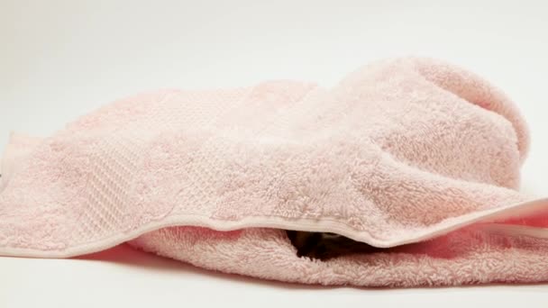 Small Striped Domestic Playful Kitten Crawls Out Blanket Cat Hiding — Vídeos de Stock