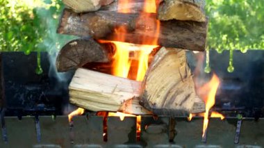 The fire burns in the brazier, day off, video of how firewood burns in cooking coals for barbecue