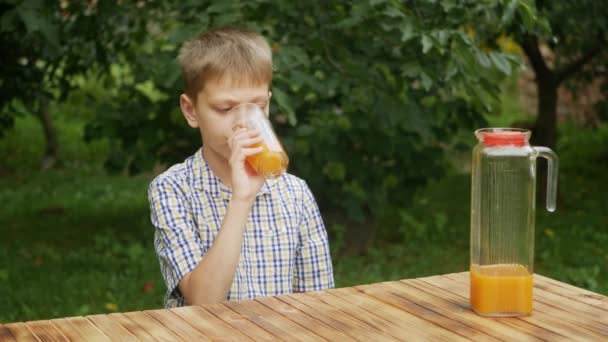 Little Boy Drinks Orange Juice Garden Child Drinks Orange Juice — Stockvideo