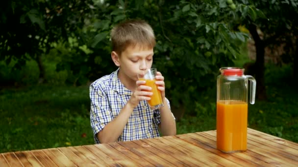 Little Boy Drinks Orange Juice Garden Child Drinks Orange Juice — Vídeos de Stock