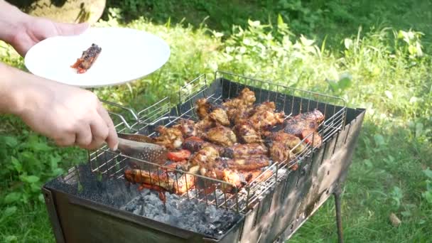 Grilled Chicken Being Placed White Plate Fried Chicken Meats Open — ストック動画