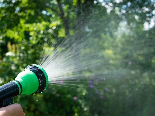 Bahçıvanın eli bir hortumu spreyle tutuyor ve bahçedeki bitkileri suluyor..