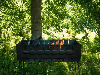 Yanan odunla doldurulmuş küçük, katlanabilir bir brazier. Izgarada yemek pişirmek. Doğada güvenli ateş. Yakacak odun Brezilya 'da alevler