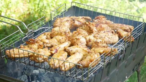 Roasting Grill Fried Chicken Meats Grill Outdoors Fried Food Fried — Vídeos de Stock