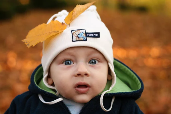 五个月大 头戴黄叶帽的男婴好奇地直视着公园里的镜头 — 图库照片