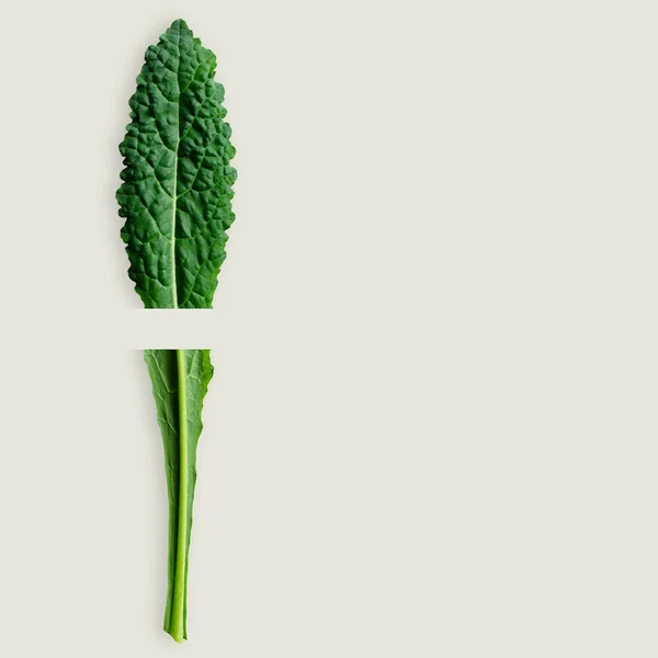 Nero di Toscana lahana yaprağı. Önde ve arkada. Kopyalama alanı olan gri arkaplan. 