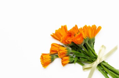 A bunch of orange calendulas on white background. 