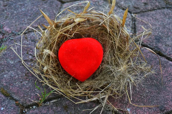 heart with a red rose on a gray wooden background