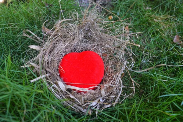 red heart shaped from the tree.