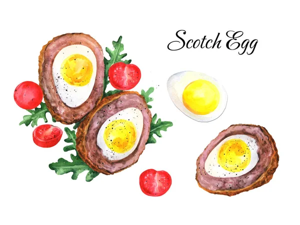 Scotch Egg, rucola and tomatoes illustration isolated on white background. British cuisine