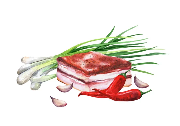 Schweinebauch Paprika Knoblauch Und Grüne Zwiebeln Illustration Aquarell — Stockfoto