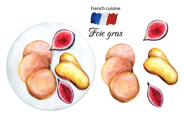Foie Gras Disegnato Mano Sul Piatto Con Baguette Fichi Illustrazione — Foto Stock