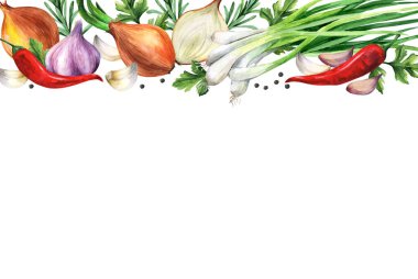 Baharatlar ve bitkiler. Metin için boş alanı olan suluboya çizimi. Menü, yemek kitabı, dergi kullanılabilir.