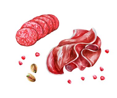 Prosciutto ve salam. Şarap için İtalyan lezzetleri. Beyaz arkaplanda suluboya çizimi.