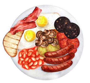 Klasik İngiliz kahvaltısı çırpılmış yumurta, sosis, kanlı puding, soslu fasulye, mantar ve domates. Resim suluboya