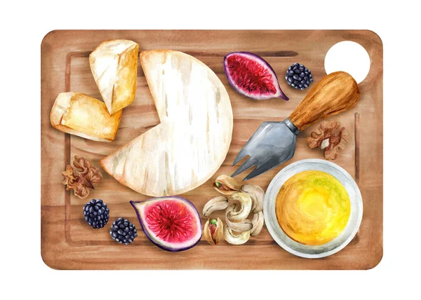 Brie Cheese Honey Figs Nuts Wooden Board Italian Appetizer Watercolor — Foto Stock