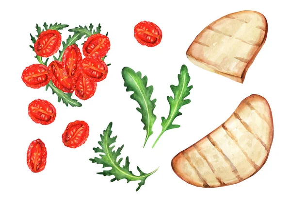 Tomates Secos Baguete Rúcula Ilustração Aquarela Isolada Sobre Fundo Branco — Fotografia de Stock