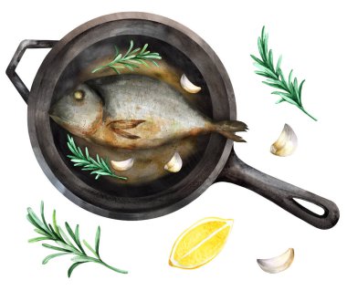 Fried fish in a pan with garlic and rosemary. Top view. Hand painted watercolor hand drawn illustration. Suitable for menu and cookbook.