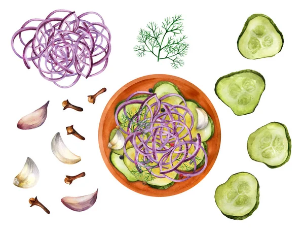 用腌制黄瓜片和洋葱及调味品做的碗 水彩画 自制罐头蔬菜 — 图库照片