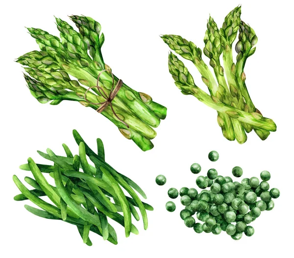Υδατογραφία Πράσινα Υγιεινά Λαχανικά Σπαράγγια Φασόλια Μπιζέλια Λευκό Απομονωμένο Φόντο — Φωτογραφία Αρχείου