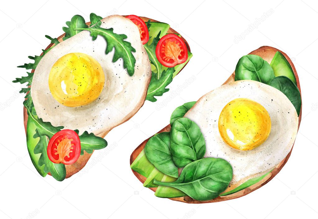 Delicious sandwich with avocado and egg. Breakfast or snack watercolor illustration on white background. Healthy diet food. Top view