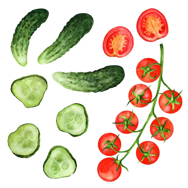 独立した白い背景にトマトとキュウリのデザイナーセット 水彩手描き野菜 レストラン キッチン メニューのために — ストック写真