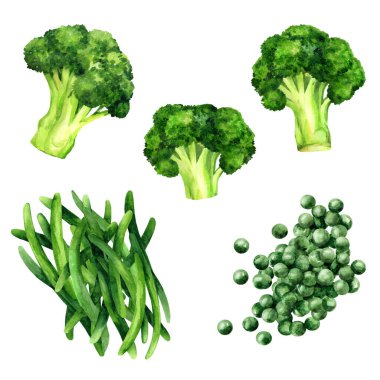 Çiğ yeşil sebzeler: brokoli, çalı fasulyesi ve beyaz arka planda izole edilmiş yeşil bezelyeler. Organik ürün, sağlıklı yiyecekler. El çizimi suluboya çizimi. 