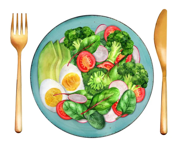 清淡的早餐 色拉西兰花 西红柿 鳄梨和煮熟的鸡蛋 健康食品 顶部视图 水彩画 适用于菜单和烹调书 — 图库照片