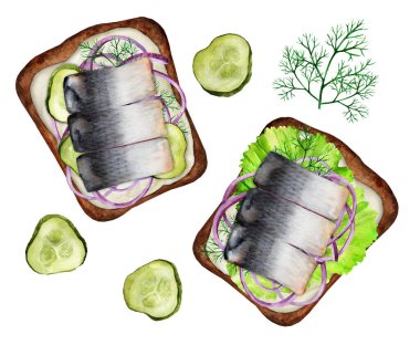 Kremalı, salatalıklı, soğanlı, salatalıklı, marullu ve dereotlu sandviç. Ev yemeği. Suluboya el çizimi. Menü ve yemek kitabı için uygun.