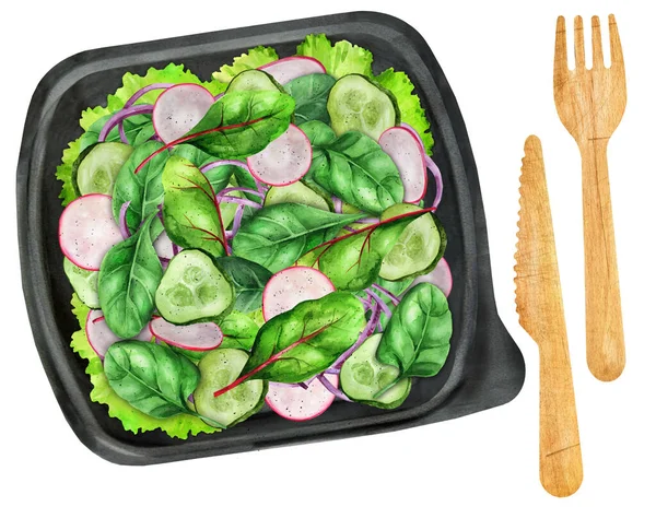 Salad Fresh Vegetables Radish Cucumber Plastic Takeaway Box Proposal Menu — Photo