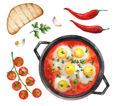 Sebze Shakshuka beyaz izole bir arka planda bir tavada. Sebzeli kızarmış yumurta: domates, biber, sarımsak, ekmek. Suluboya el çizimi çizimi. Menü ve yemek kitabı, restoran için uygun