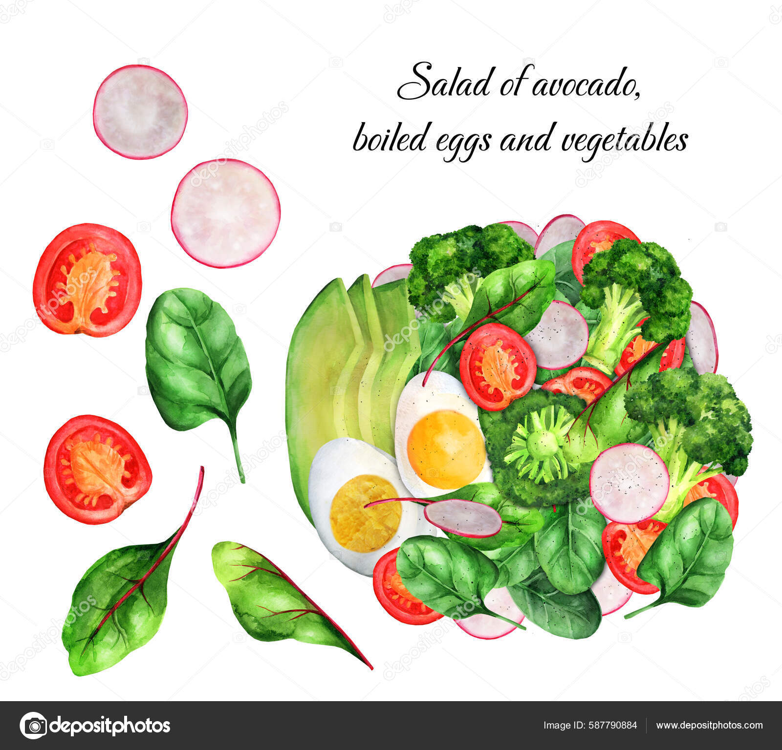 33 Ilustraciones de Healthier food de Stock | DepositPhotos, image size:1600x1535