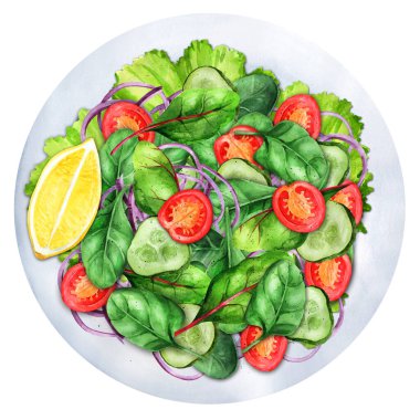 Taze salata karışımı, domates, kiraz, salatalık, ıspanak, roka, pazı ve soğan. Sağlıklı yiyecekler. En üst görünüm suluboya çizimi. Menü ve yemek kitabı için uygun. 