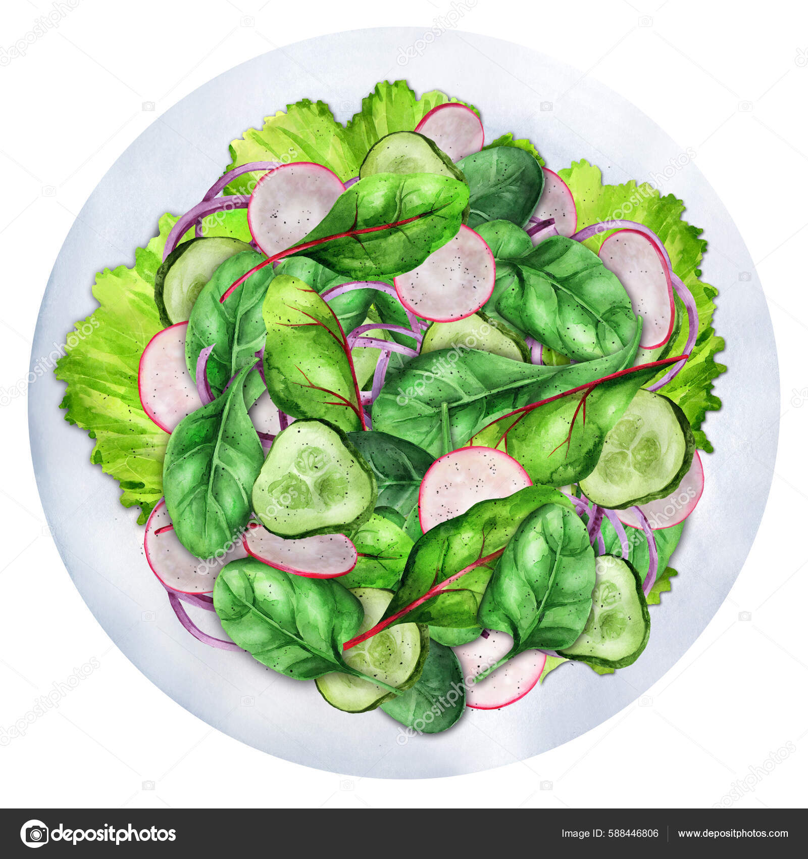 33 Ilustraciones de Healthier food de Stock | DepositPhotos, image size:1600x1700