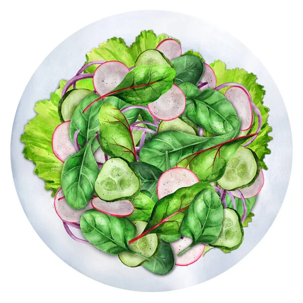 Salad Fresh Vegetables Radish Cucumber Onion Greens Healthy Food Top — Photo
