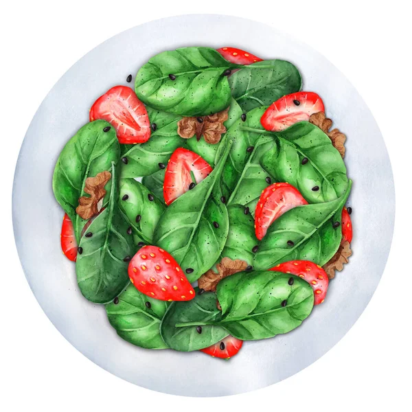 色拉和草莓 菠菜和核桃一起放在盘子里 健康食品概念 顶部视图 水彩画 适用于菜单和烹调书 — 图库照片