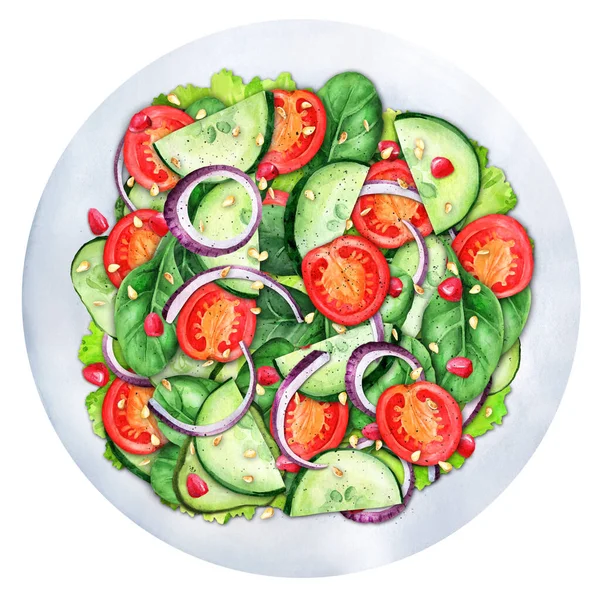 Fresh Salad Spinach Cucumbers Tomato Onion Pomegranate Plate Diet Menu — Photo