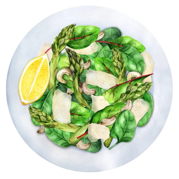 Kuşkonmazlı Salata Yeşil Sebze Parmesan Fındık Sağlıklı Detoks Gıda Konsepti — Stok fotoğraf